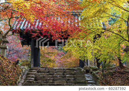 Akitsuki城堡秋葉 60287392