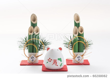 2020年的老鼠 60288082
