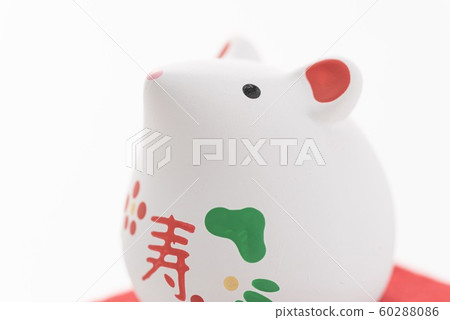 Mouse year of 2020 60288086