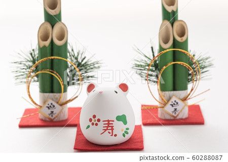 Mouse year of 2020 60288087