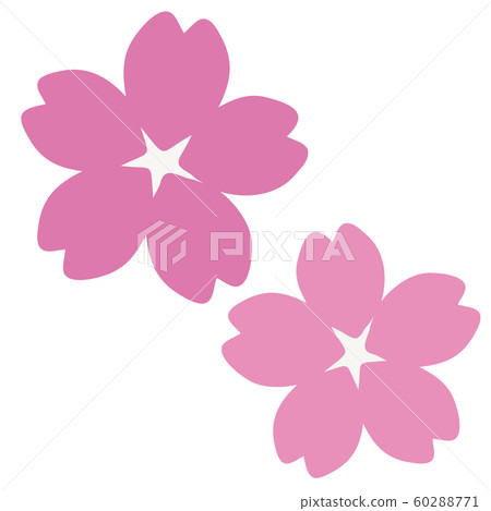 櫻花 60288771