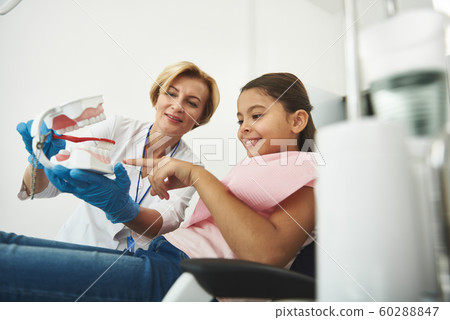 Positive professional dentist showing how to clean teeth Positive professional dentist showing how to clean teeth 60288847