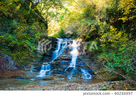 Yoro Valley (Mandai Falls) Autumn 60288897