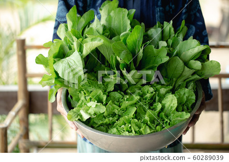 organic farm 60289039