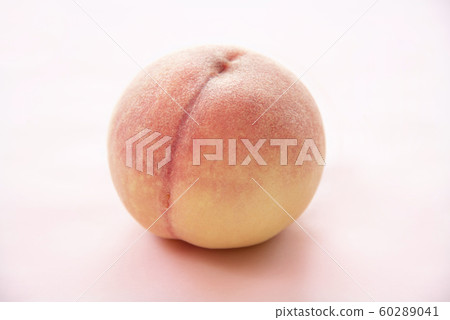 日本桃子 60289041