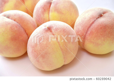 日本桃子 60289042