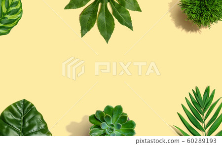 Tropical green leaves from above 60289193