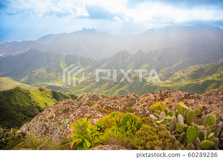 Anaga Mountains, Taganana, Tenerife 60289286