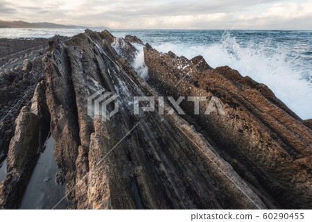 Coast landscape of famous Flysch in Zumaia, Basque country, Spain. Famous geological formations 60290455