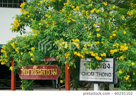 泰國曼谷宗通區的國家鐵路同通站 60291102