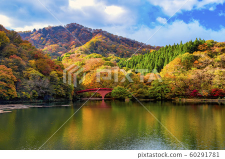 Usui lake of autumn leaves Usui lake of autumn leaves 60291781