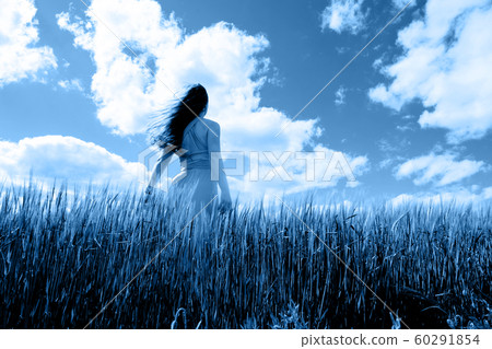 Long-haired woman in a dress on a field of blue wheat Long-haired woman in a dress on a field of blue wheat 60291854