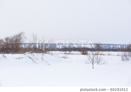 Winter field strewn with snow 60291912
