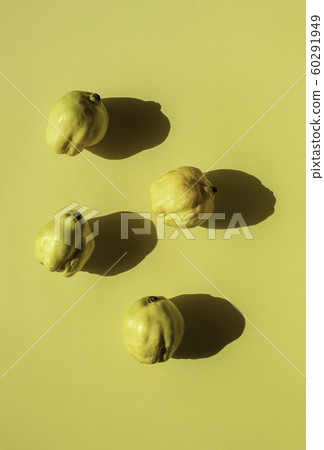 Four quinces on yellow background. Fresh quince 60291949