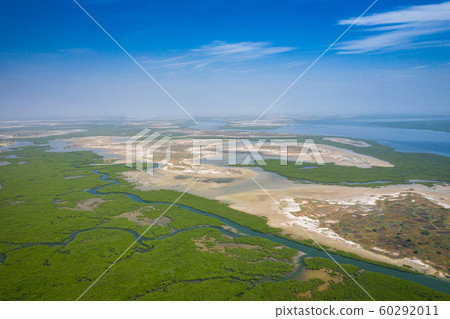 Aerial view of mangrove forest in the  Saloum 60292011