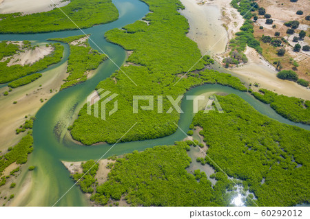 Aerial view of mangrove forest in the  Saloum 60292012