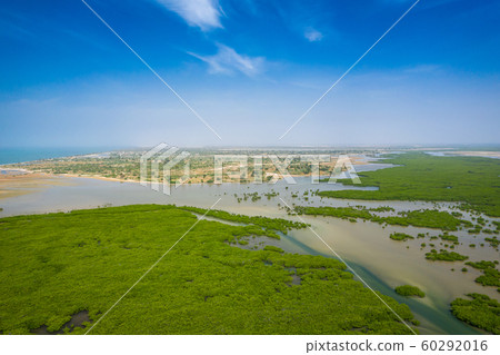 Aerial view of mangrove forest in the  Saloum 60292016