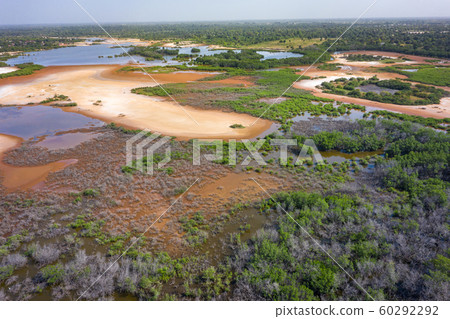 Aerial view of national reserve in south of Gambia 60292292