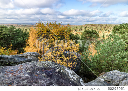 Nature walking during Autumn at the Fontainebleau Nature walking during Autumn at the Fontainebleau 60292961