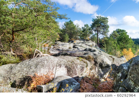 Nature walking during Autumn at the Fontainebleau Nature walking during Autumn at the Fontainebleau 60292964
