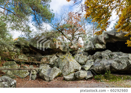 Nature walking during Autumn at the Fontainebleau 60292980