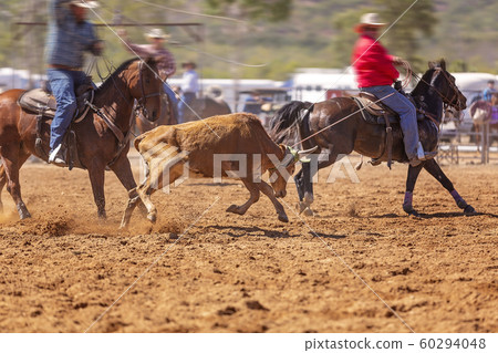 Rodeo Team Calf Roping 60294048