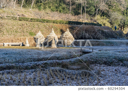 [Warabotchi] 60294304