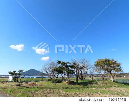 to藤古蹟墓群（福岡縣to島市） 60294956