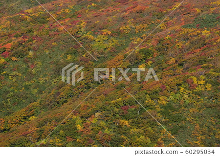 Kurikoma山 Kurikoma山 60295034