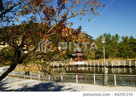 Shanghai Yokohama Friendship Park Shanghai Yokohama Friendship Park 60295150