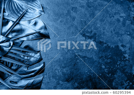 Creative tropical leaves blue classic background. Trandy tropical leaves color of the year 2020 Creative tropical leaves blue classic background. Trandy tropical leaves color of the year 2020 60295394