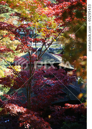 Yokohama Sankei Garden Hearing auction house Yokohama Sankei Garden Hearing auction house 60295433