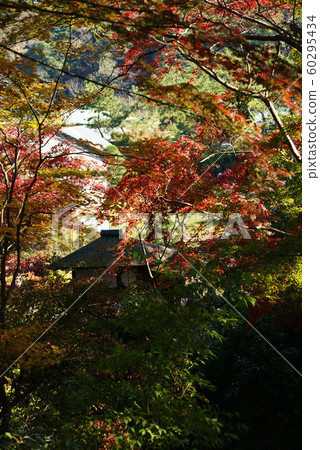 Yokohama Sankei Garden Hearing auction house 60295434