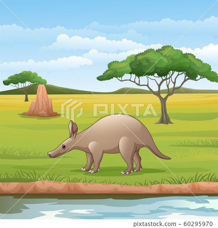 Cartoon Aardvark in the Savannah - Stock Illustration [60295970] - PIXTA