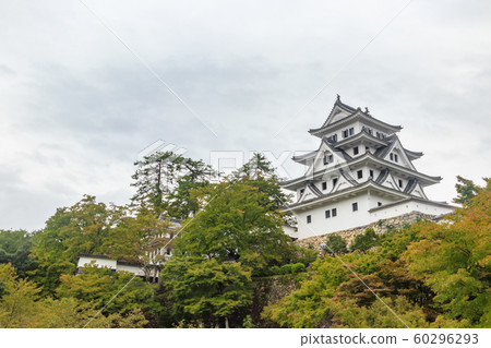 Gunjo Hachiman Castle (Gujo City, Gifu Prefecture) 60296293
