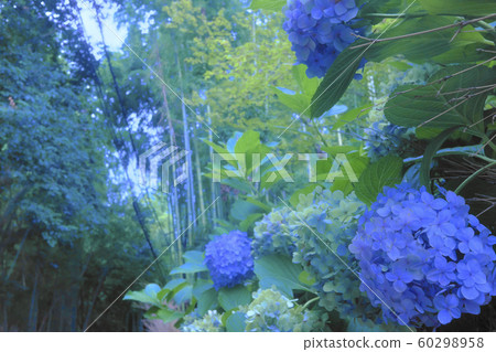 京都的風景 60298958