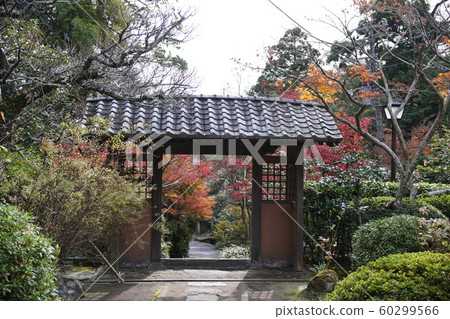 Kaizouji temple 60299566