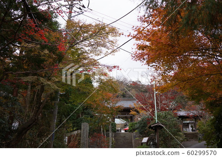 Kaizouji temple 60299570