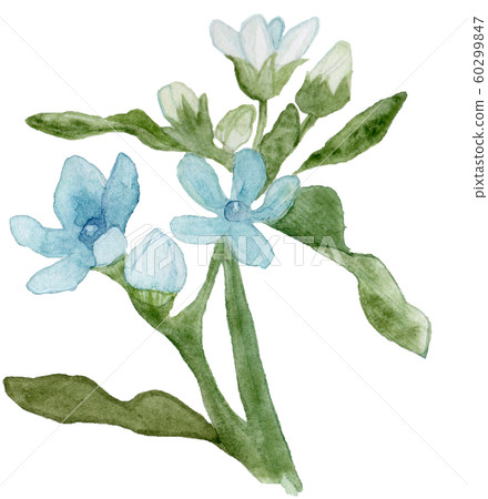 Blue Star 60299847
