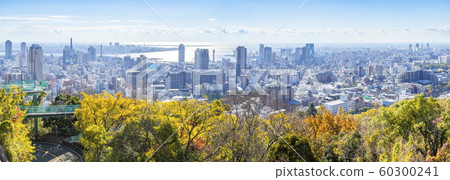 從兵庫縣神戶中央區Suwayama公園眺望神戶港和港島 60300241