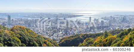 從秋色神戶，秋山，神戶，兵庫縣神戶港/港島的景色 60300246