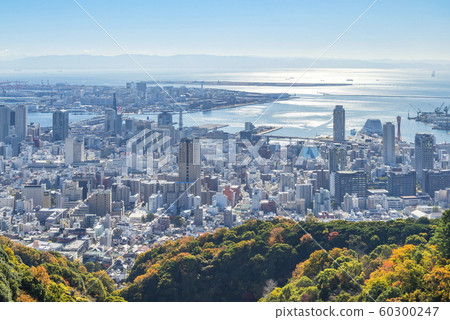 從秋色神戶，秋山，神戶，兵庫縣神戶港/港島的景色 60300247