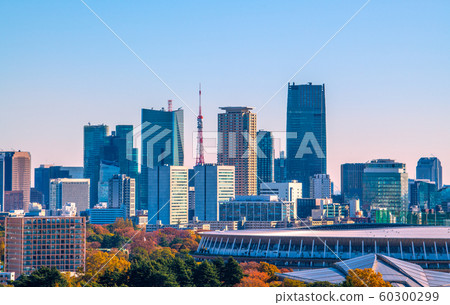 Views of Japan's Tokyo cityscape, Shinsei National Stadium, etc. Completed on November 30 = November 30 shooting 60300299