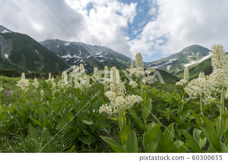 Mountain climbing 60300655