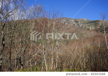 Hayateyama山在秋天 Hayateyama山在秋天 60301886