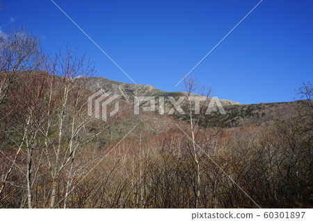 Hayateyama山在秋天 60301897