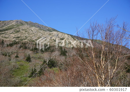 Hayateyama山在秋天 60301917