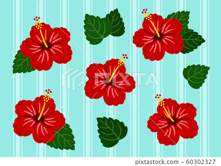芙蓉紅和淺藍色矢量邊框 芙蓉紅和淺藍色矢量邊框 60302327