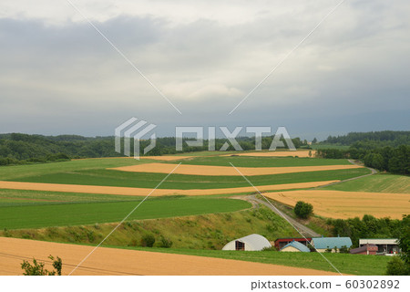 View from Hinode Park (Kamifurano Town, Hokkaido) 60302892