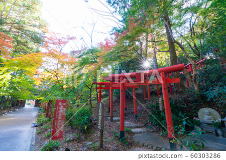 Yuzanji寺廟秋葉 60303286